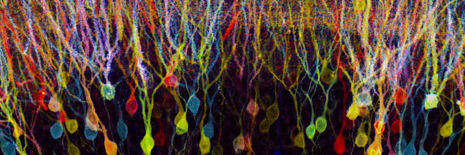 Joongkyu Park banner