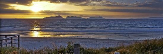 Látigo de Liberticidas banner