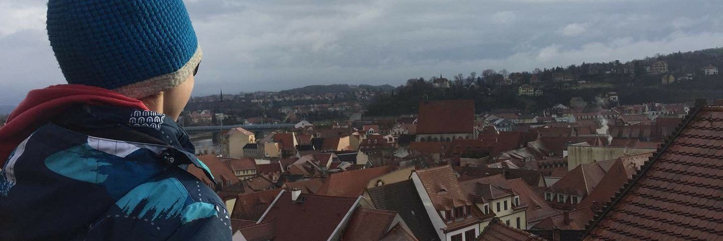 vildafiala's profile banner image