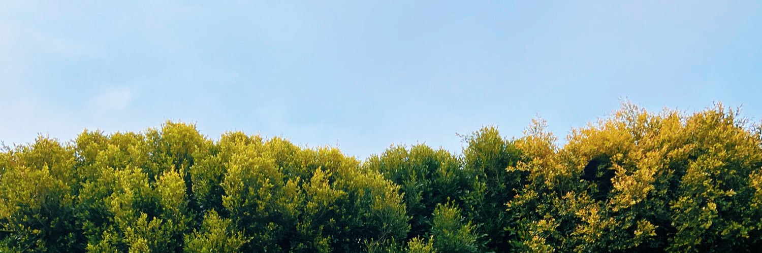 nadeeshine's profile banner image
