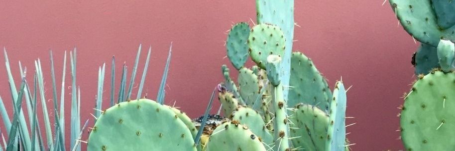 azyafcht's profile banner image