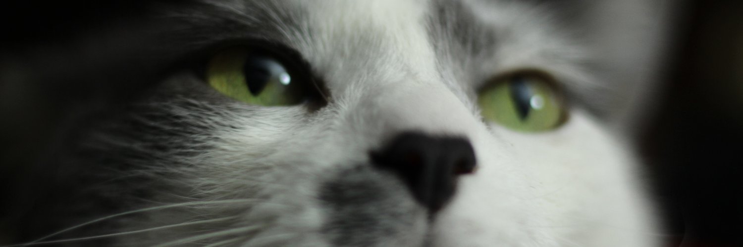Pe banner