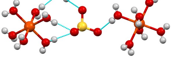 TCD Biochemical Society banner