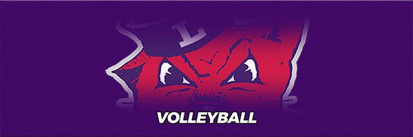 LinfieldVB Profile Banner
