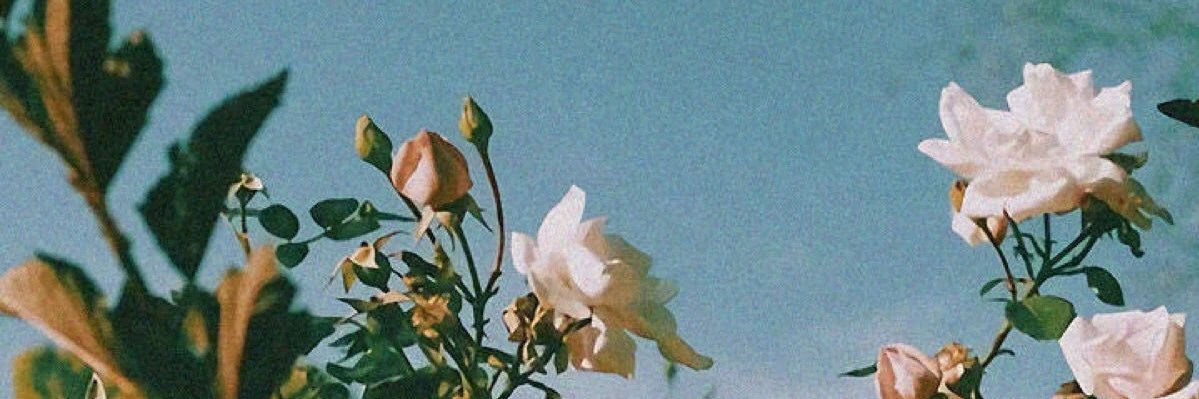 AlexJMorrissey's profile banner image
