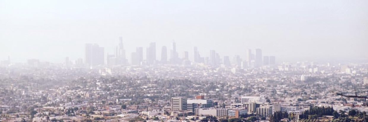 Tyrese’s Turtle Neck banner