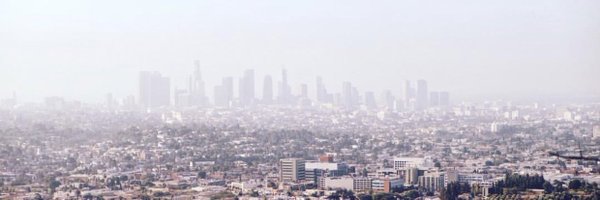 TheRealRDE Profile Banner