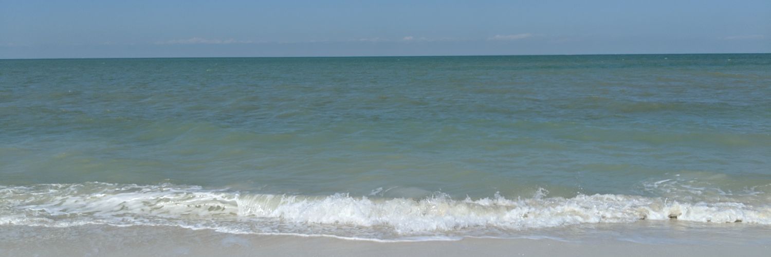 sufinsil's profile banner image