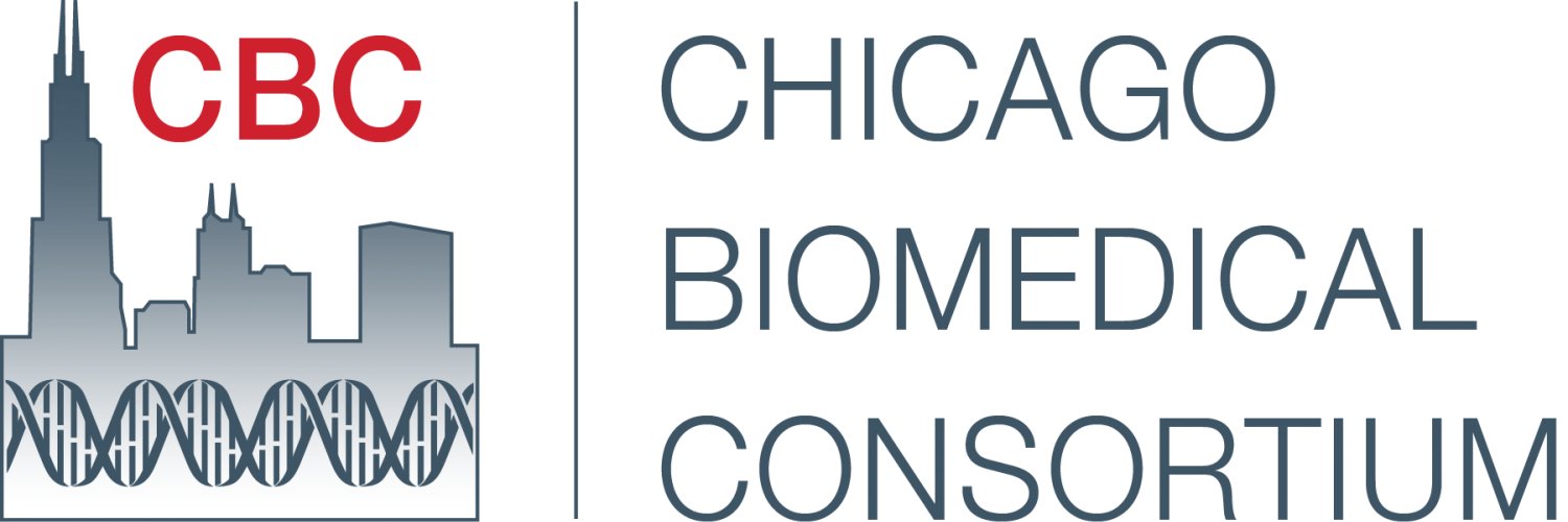 michelle b. hoffmann banner