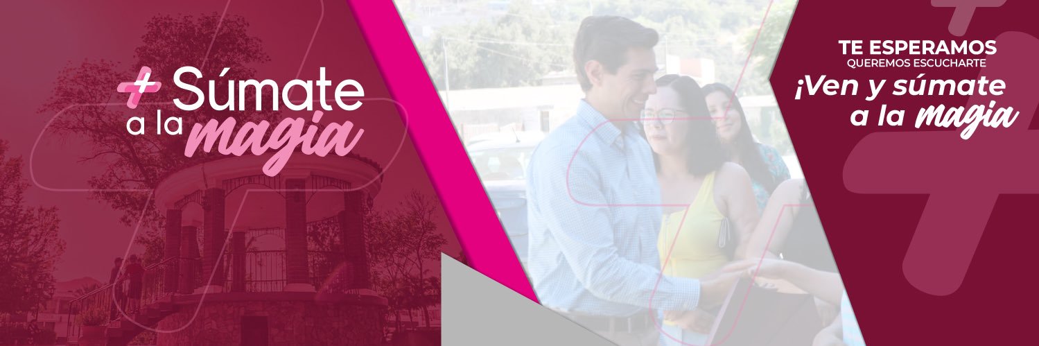 Román Cota Muñoz banner