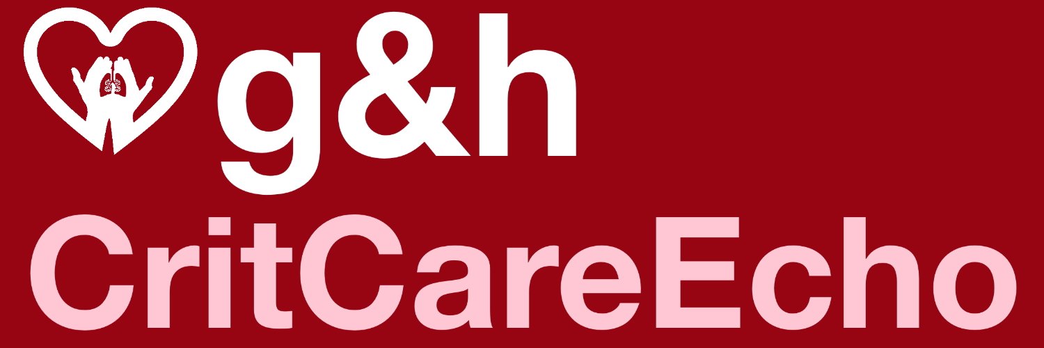 g&h CritCareEcho's banner