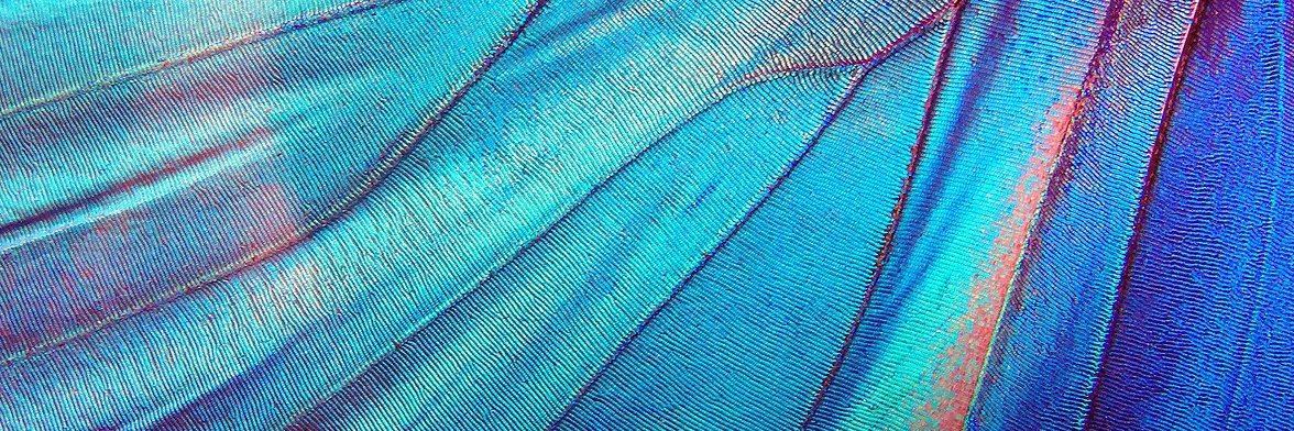 MagazineNeon's profile banner image