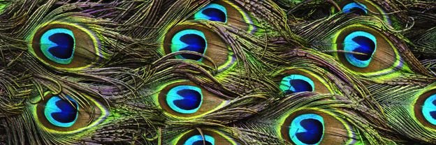 A_Noyd's profile banner image