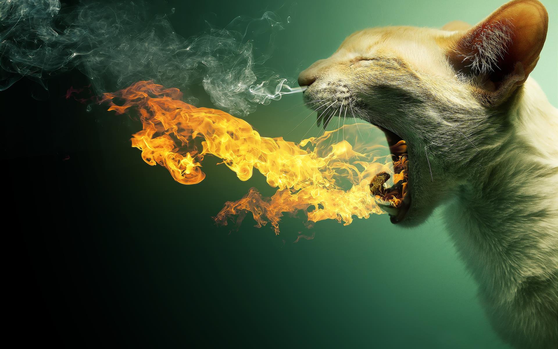 xuvafusage's profile banner image