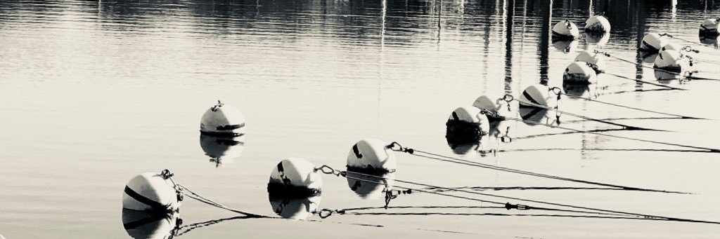 grib1's profile banner image