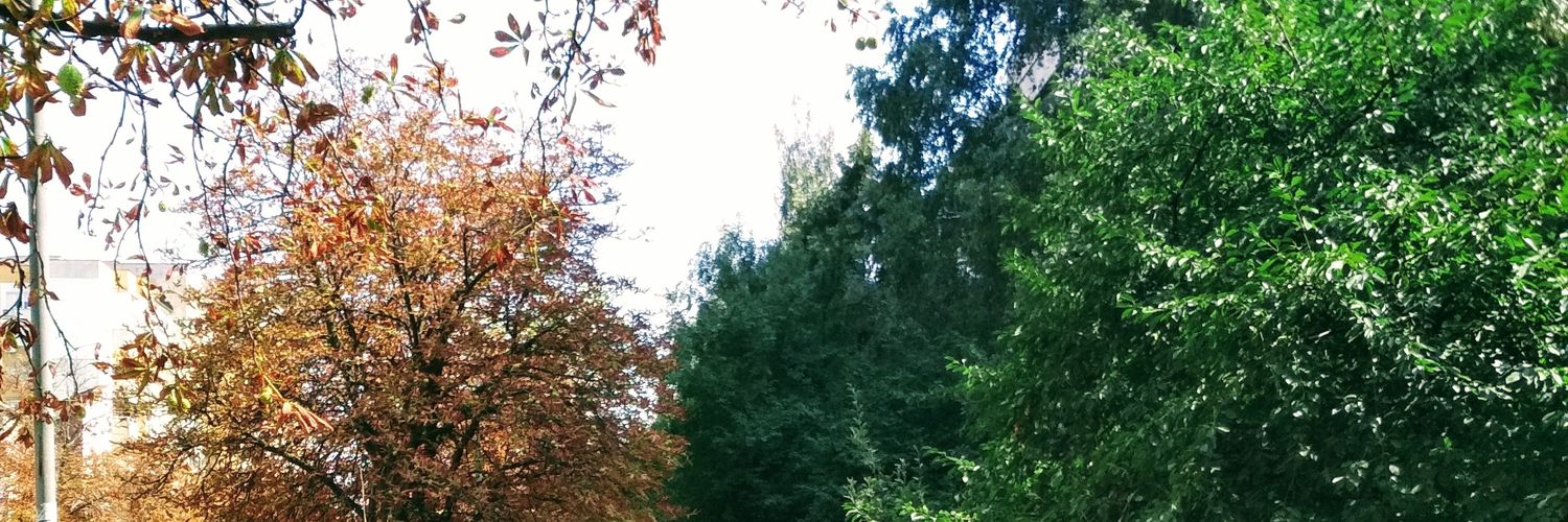 simdy07's profile banner image