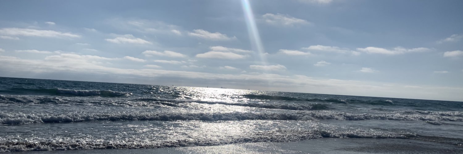 Beata Górka-Winter banner