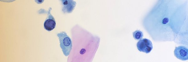 CitopatolCAT Profile Banner