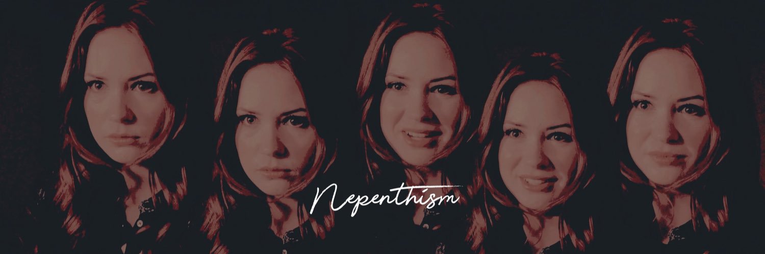 𝒜𝙼𝚈 𝒫𝙾𝙽𝙳. banner