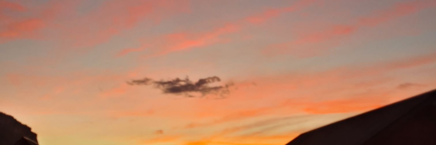 cgrood1's profile banner image