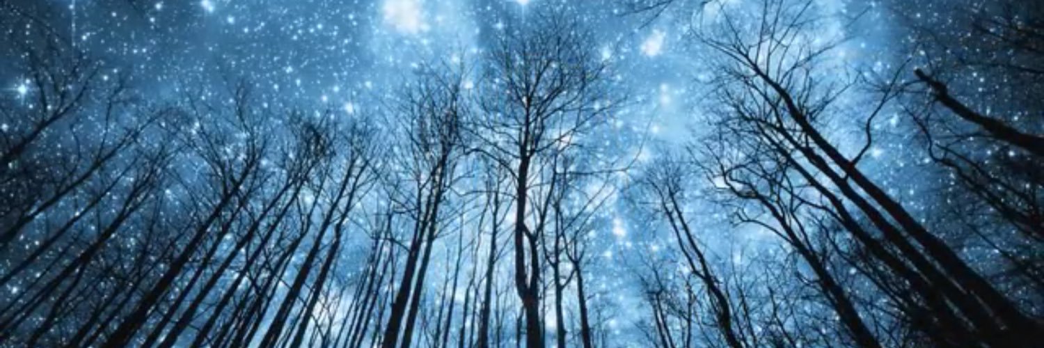 jun12120128's profile banner image