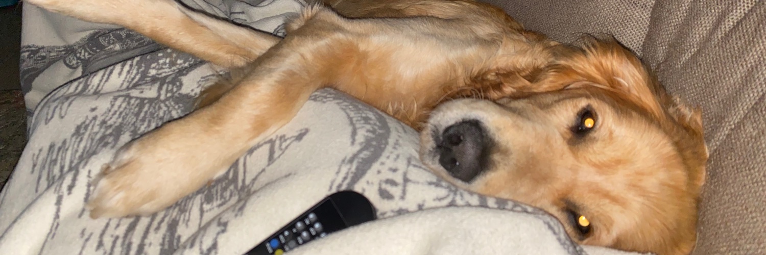 Aleksandar Saša Zeković 🇲🇪🇺🇦 banner