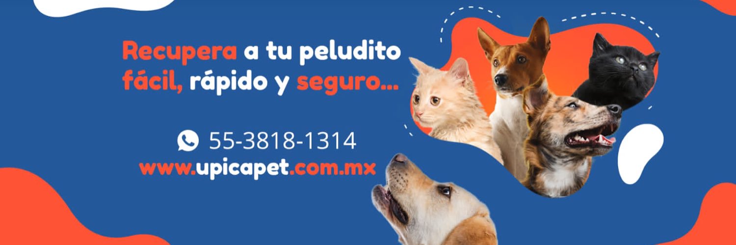 UBICAPET MÉXICO's banner