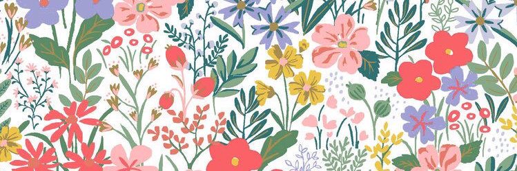 NancyElmassry's profile banner image