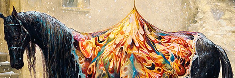 LiamStones's profile banner image