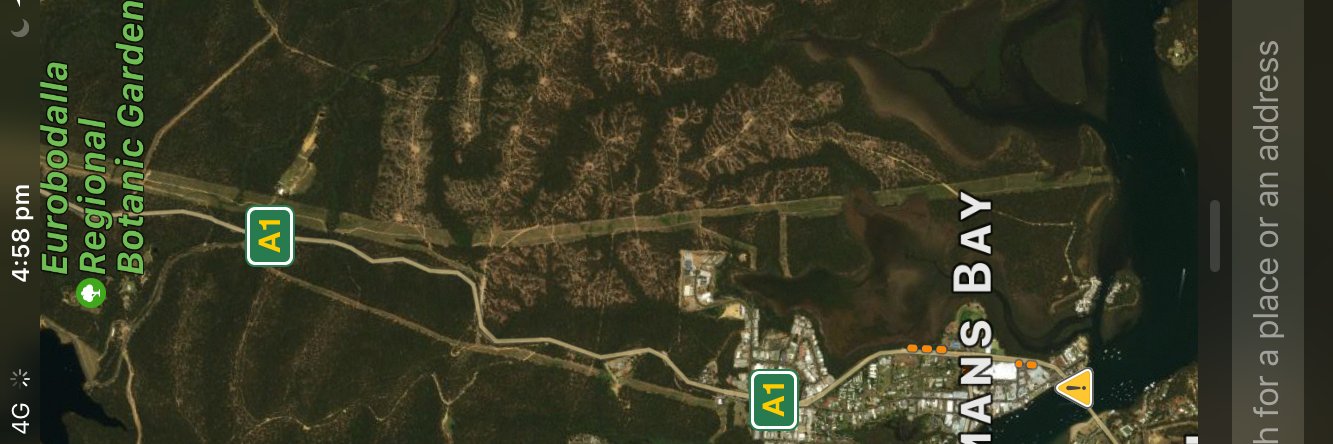 Friends of the Forest (Mogo) banner