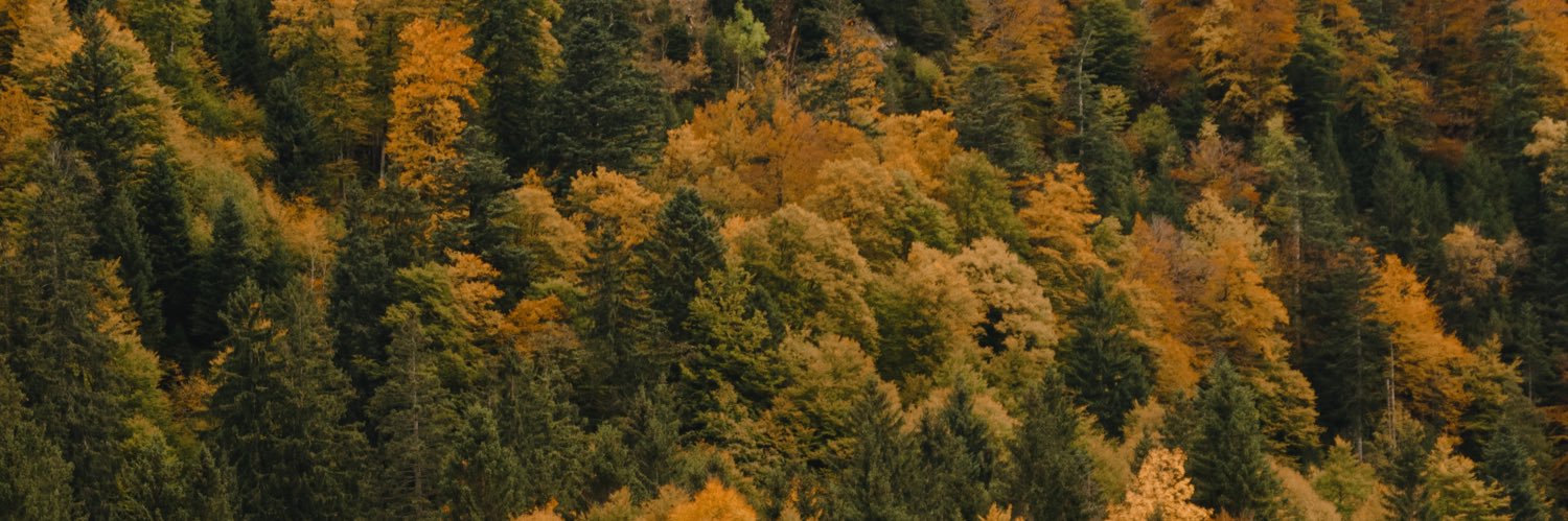 leonseierlein's profile banner image