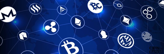 SenoritaCrypto's profile banner image