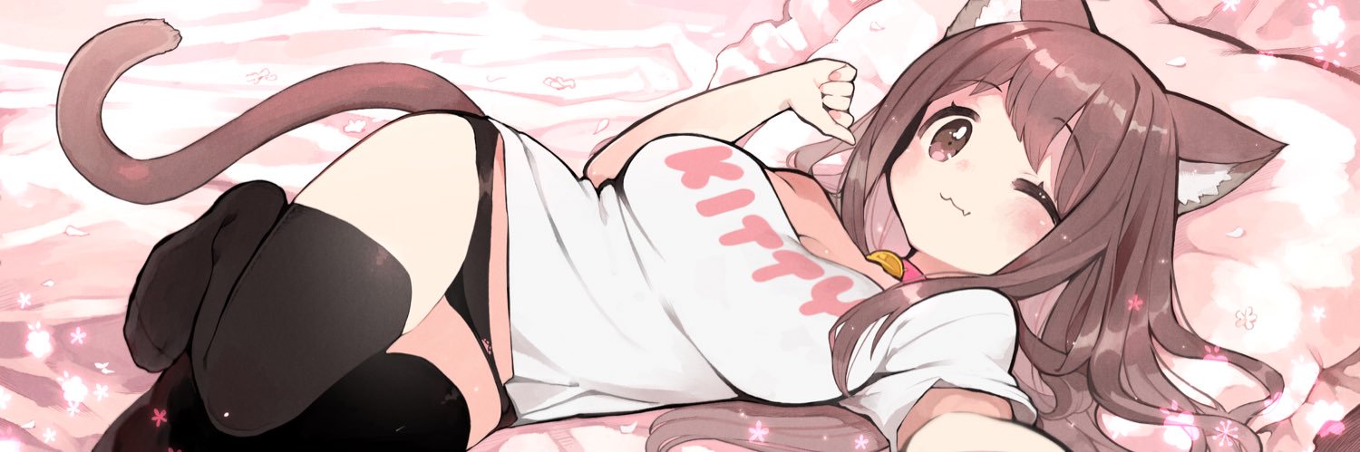 kitty 🐾 banner