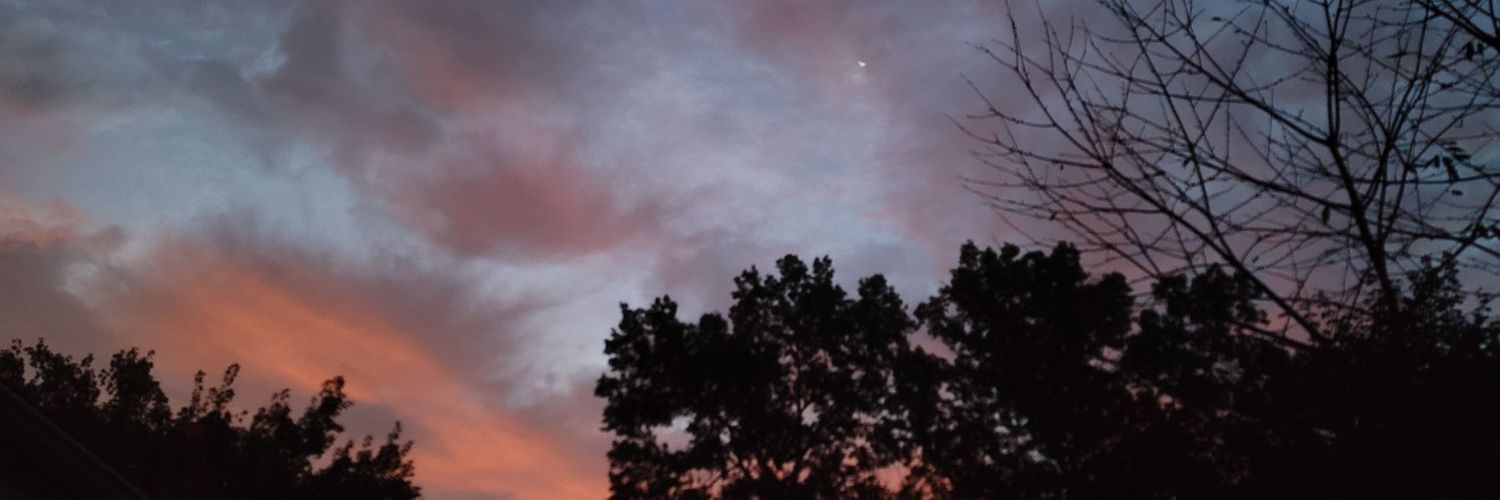 Joe, Just Another Citizen banner