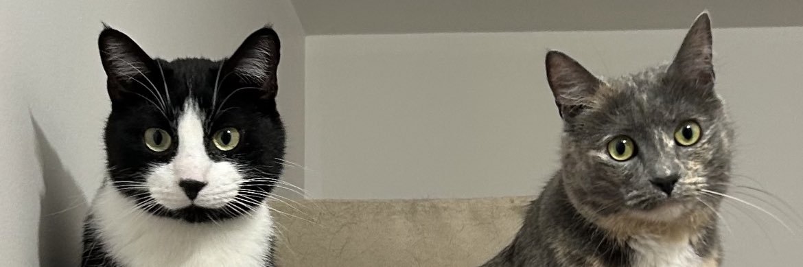 _gregrx's profile banner image