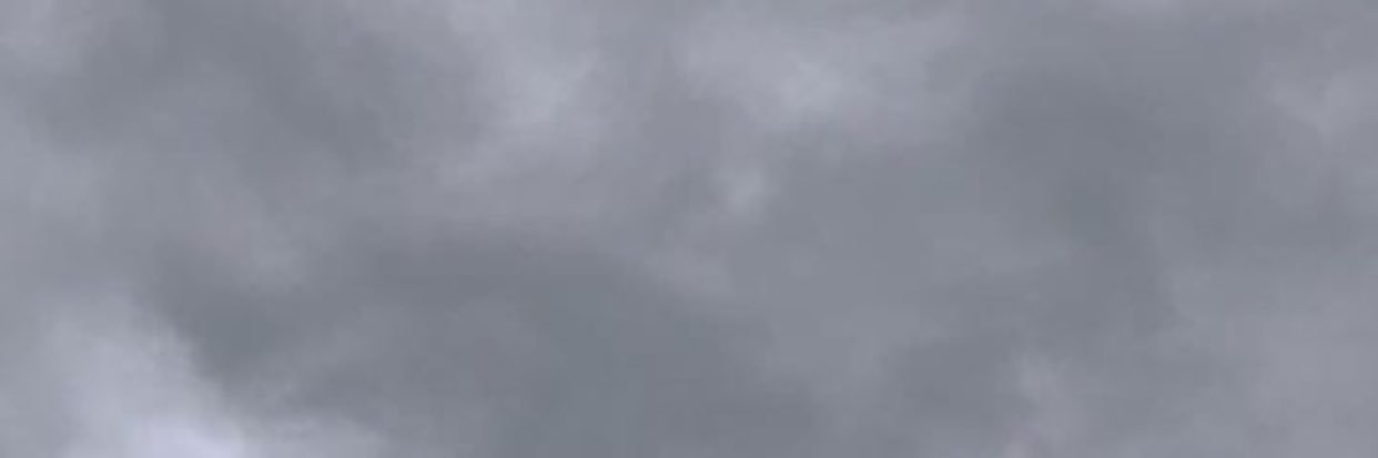 Zenon banner