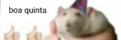 gustavo banner