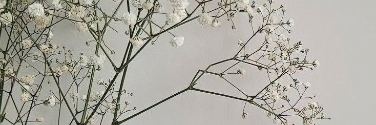 LInggriani's profile banner image