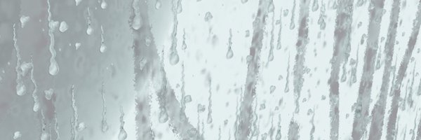 ___FLOOD___ Profile Banner