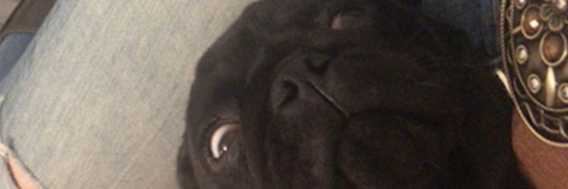 dudazalevski's profile banner image