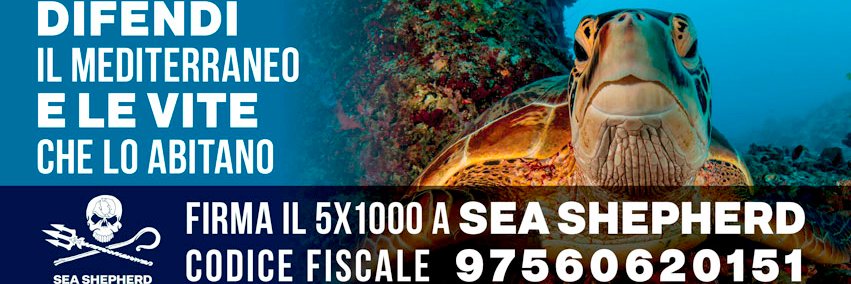 Sea Shepherd Italia banner