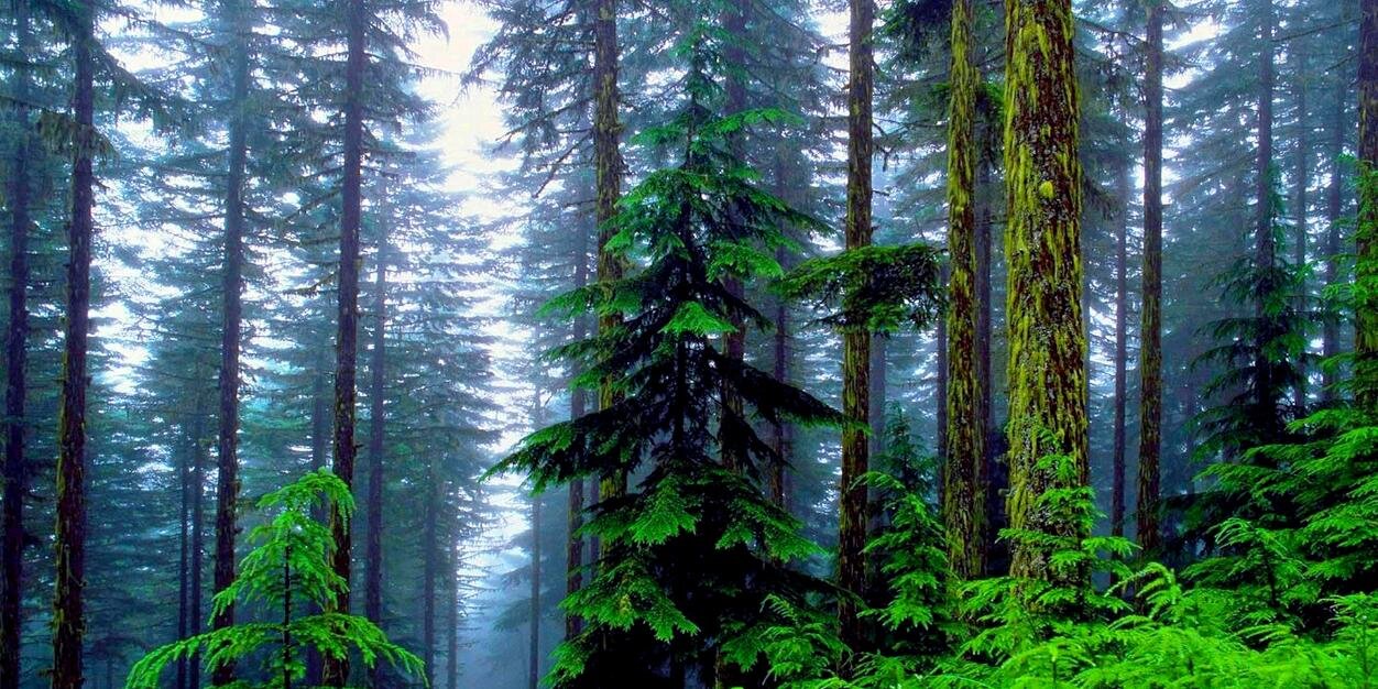 EdwardLaurent_'s profile banner image