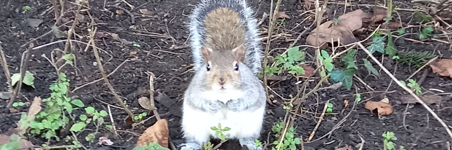 Ben Thompson 🇺🇦 banner