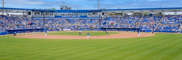 Dunedin Blue Jays Profile Banner