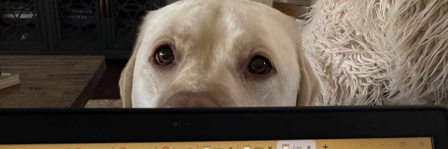 HeyMrsStringer, M.Ed 🐝💚🏈 banner