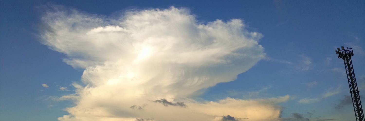 Zyxely banner