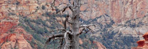 Gini_Agee's profile banner image