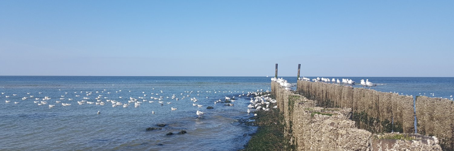 Han de Winde @handewinde.bsky.social banner