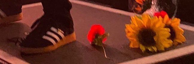 bucky🍒🍋 banner