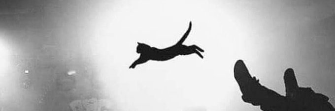 Guillaume Pavis banner